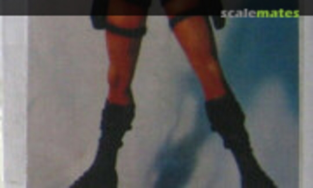 1:6 Tomb Raider (Dr Flintbone DRF66) DRF66