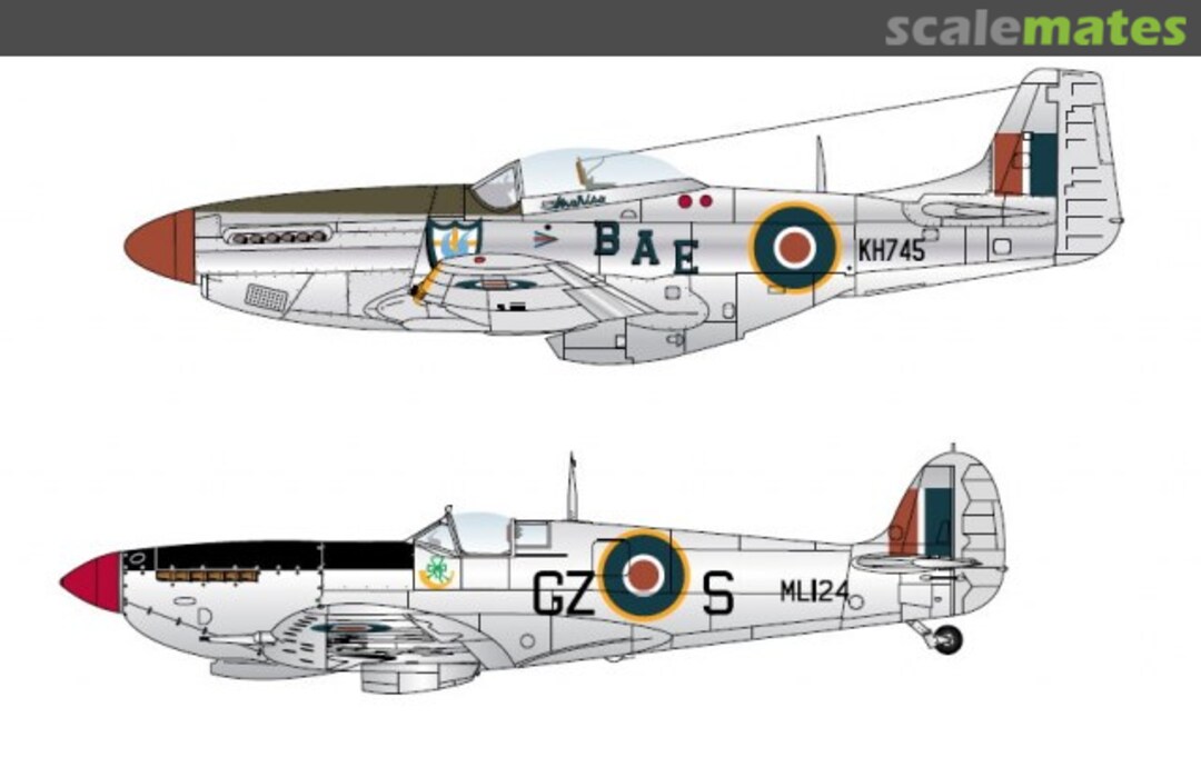 Boxart 'Silver Merlins' - Limited Edition FSD32-003 Freightdog Models Boxart 'Silver Merlins' - Limited Edition FSD32-003 Freightdog Models