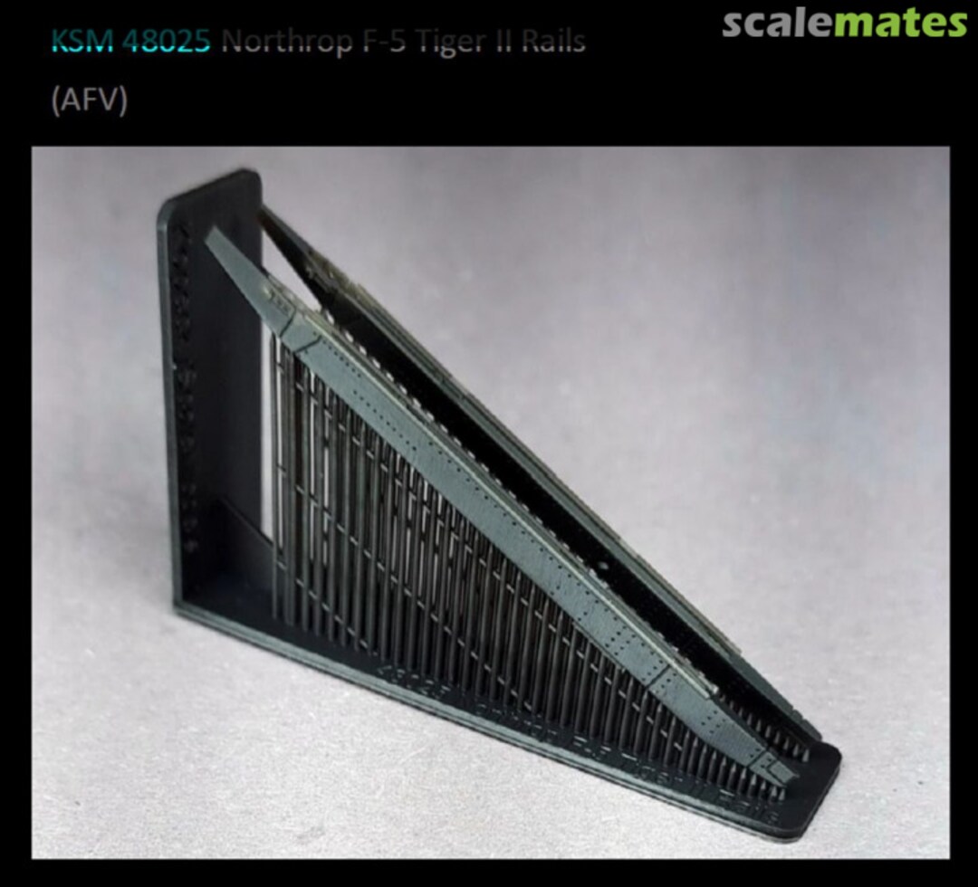 Boxart Northrop F-5 Tiger II Rails 48025 Kopecky Scale Models Boxart Northrop F-5 Tiger II Rails 48025 Kopecky Scale Models