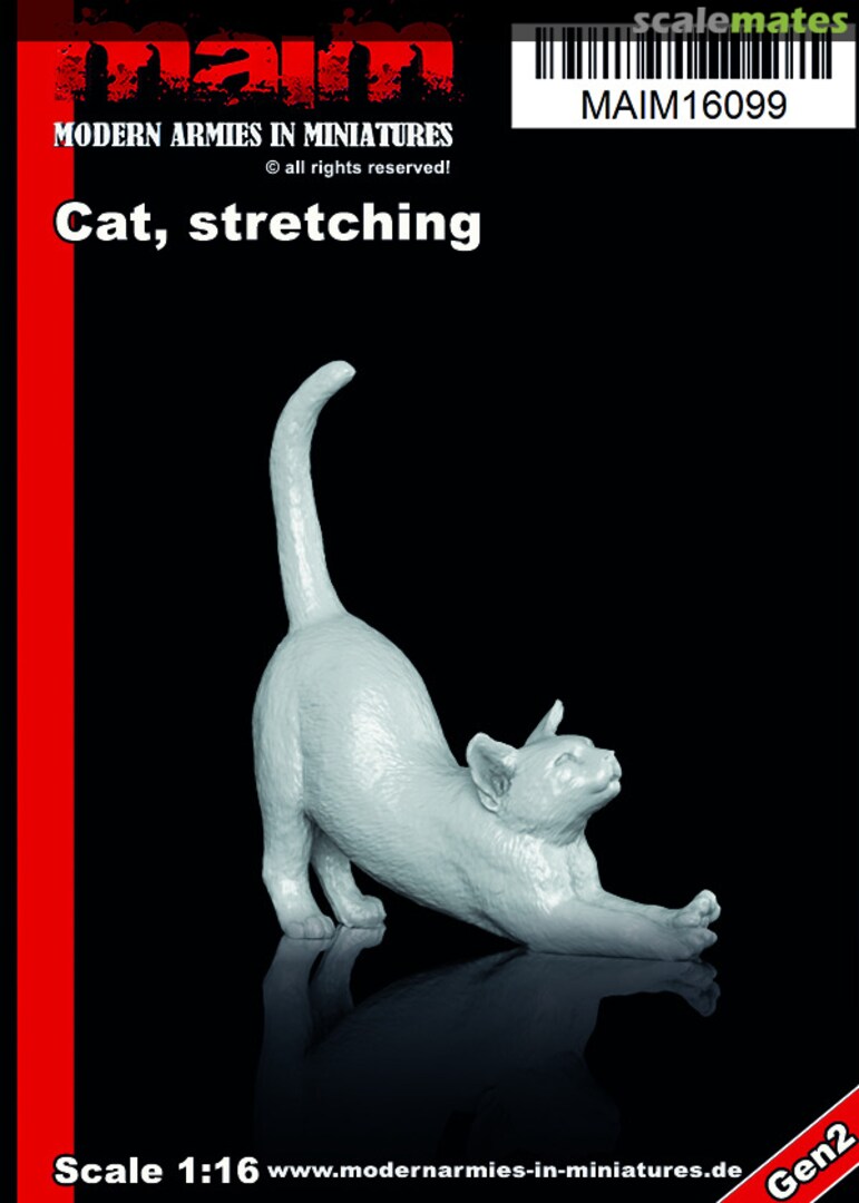 Boxart Cat MAIM16099 MAiM Boxart Cat MAIM16099 MAiM