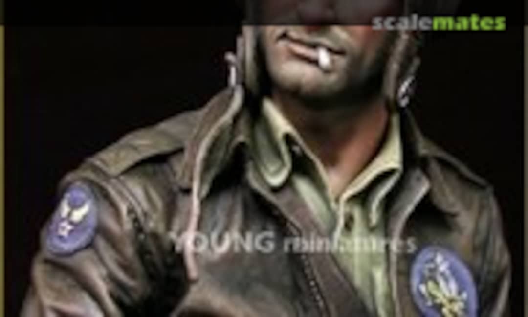 1:10 Flying Tigers 1942 (Young Miniatures YM1843)