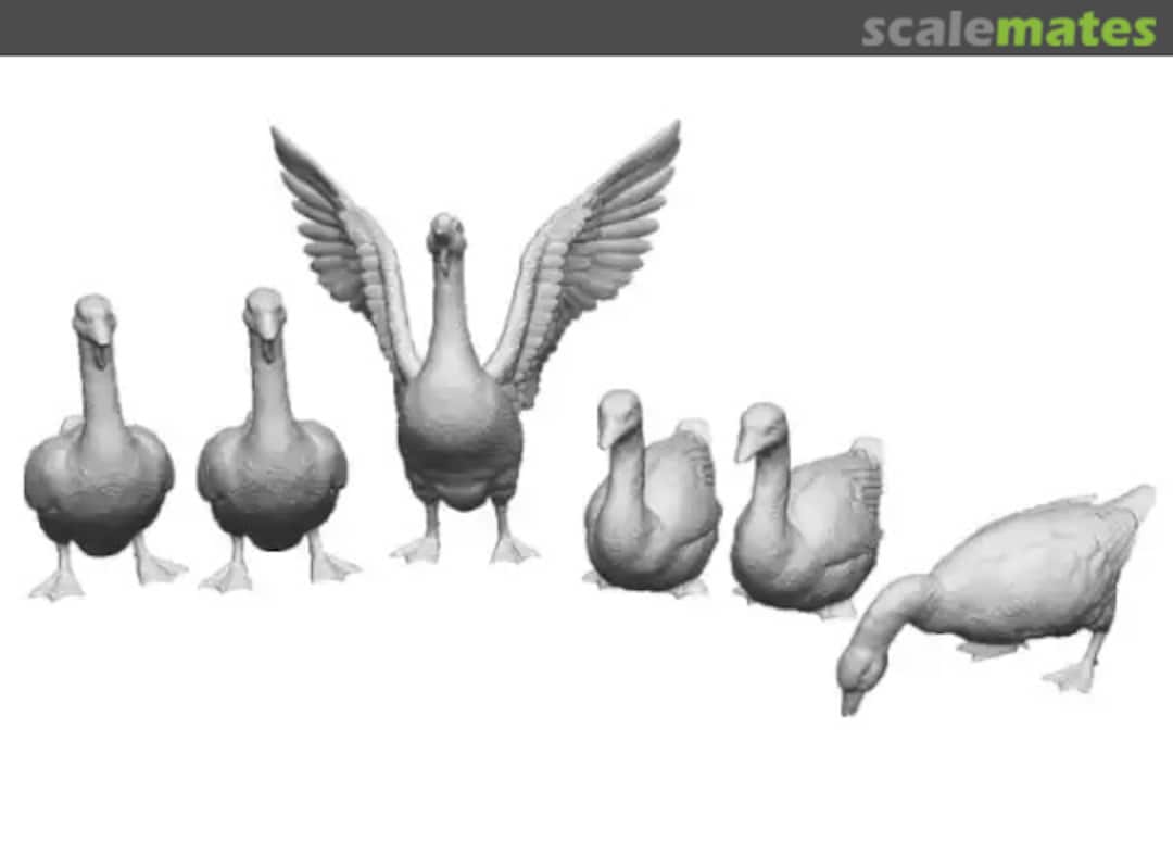 Boxart Geese x6 31409-076 Modelu Boxart Geese x6 31409-076 Modelu