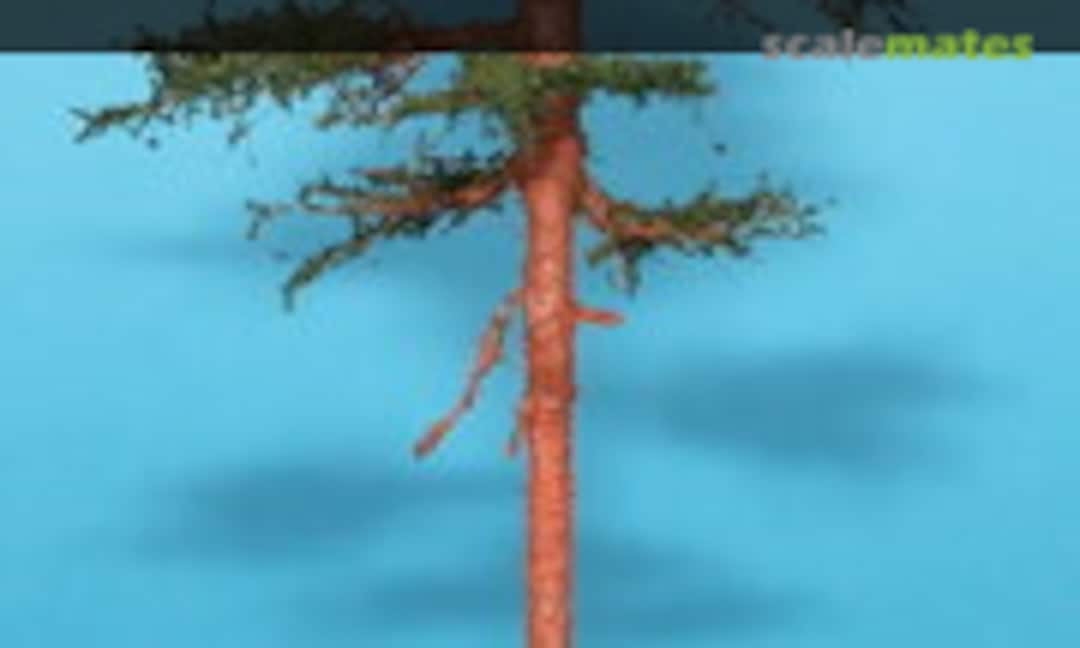 1:72 Young pine - height 12-18 cm (Freon SOM 2) SOM 2