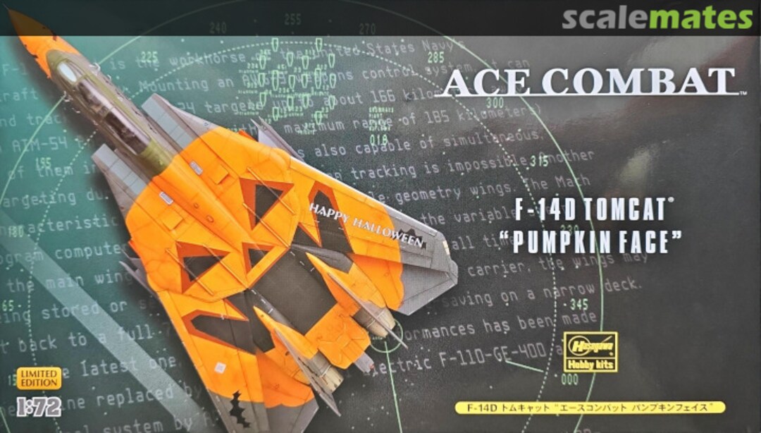 Boxart F-14D Tomcat "Pumpkin Face" 52109 Hasegawa Boxart F-14D Tomcat "Pumpkin Face" 52109 Hasegawa