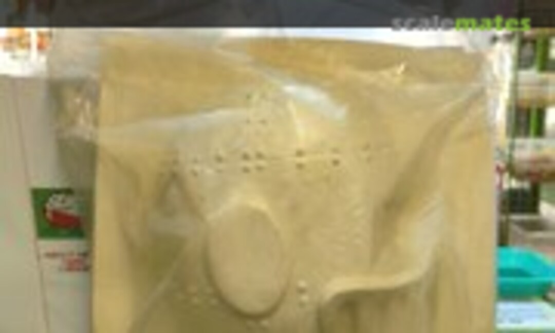 1:1 Iron Mask (General Products )