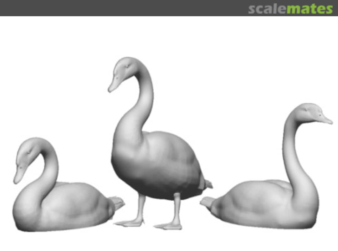Boxart Swans (x3) 31407-076 Modelu Boxart Swans (x3) 31407-076 Modelu