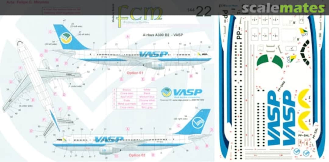 Boxart VASP A300B2 (2 versions) 144-22 FCM Boxart VASP A300B2 (2 versions) 144-22 FCM