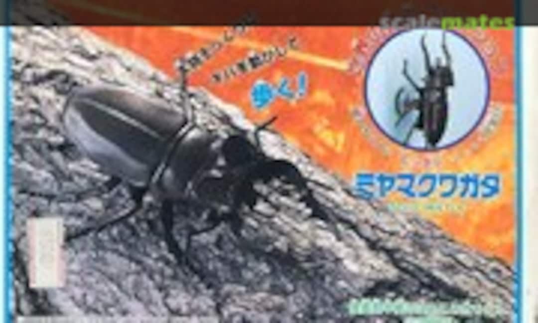 No Stag Beetle (IMAI B-2451-500)