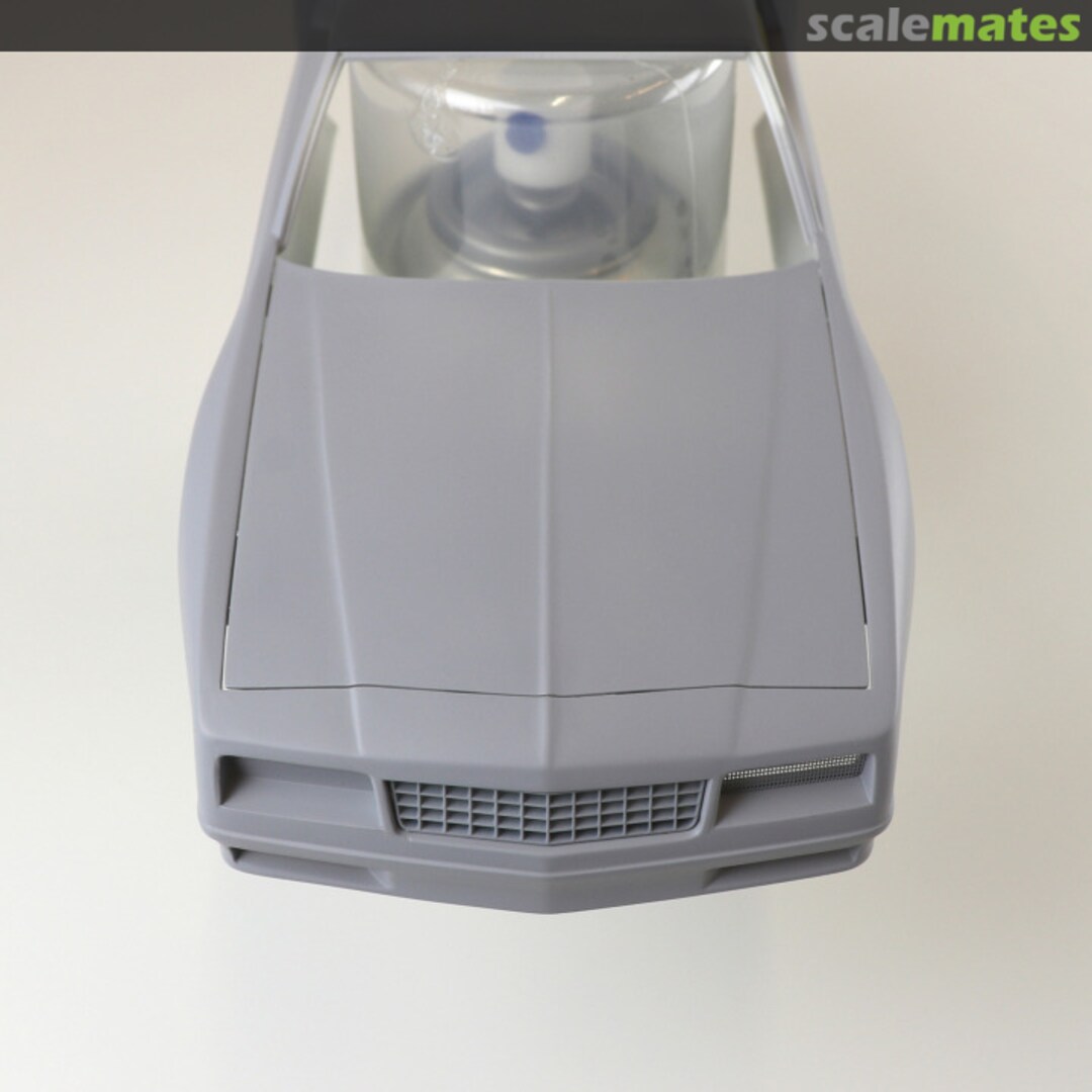 Boxart Front grille (Chevrolet Monte Carlo) SCO-R070 scalecars.online