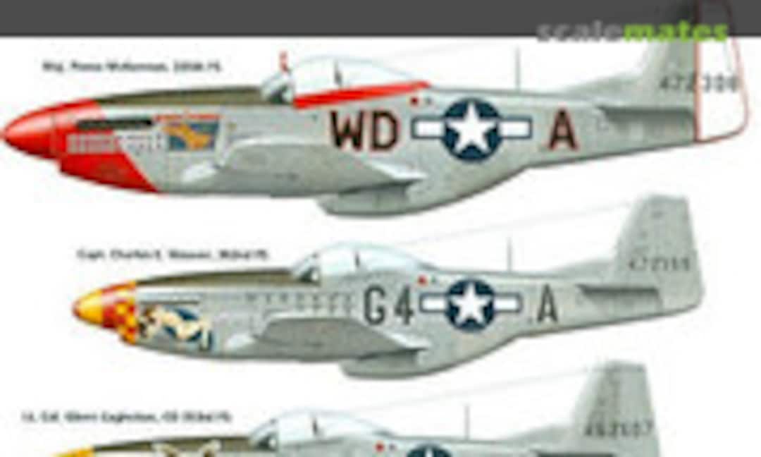 1:48 P-51D Mustang (Cutting Edge Modelworks CED48113) CED48113
