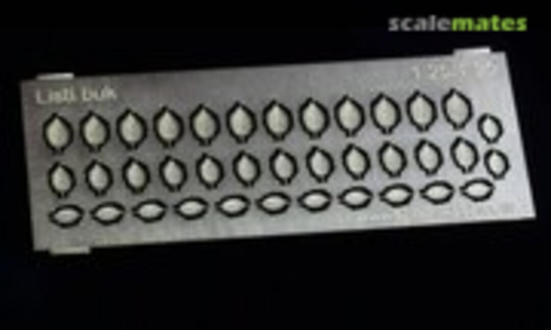 1:35 Beech Leaves (KartonModels KMS-042) KMS-042