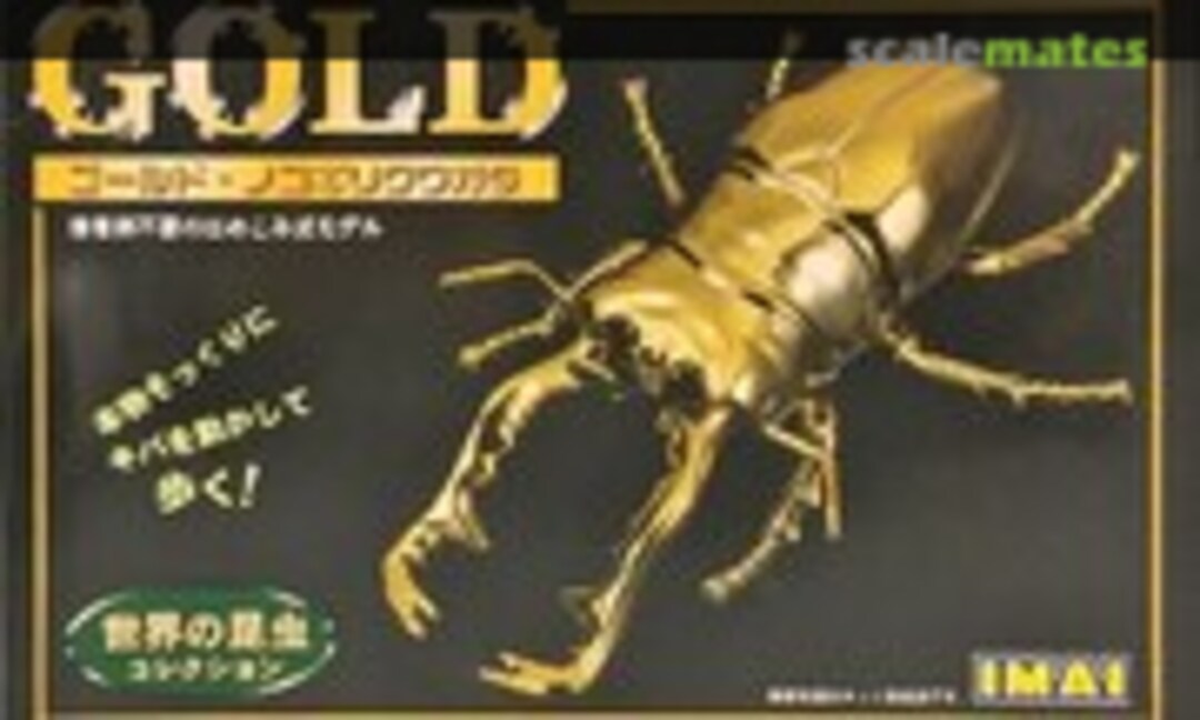 No Gold Saw Stag Beetle (IMAI 931904-600)