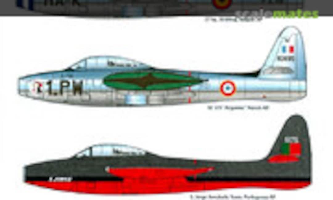 1:48 F-84 Thunderjet (Cutting Edge Modelworks CED48114) CED48114