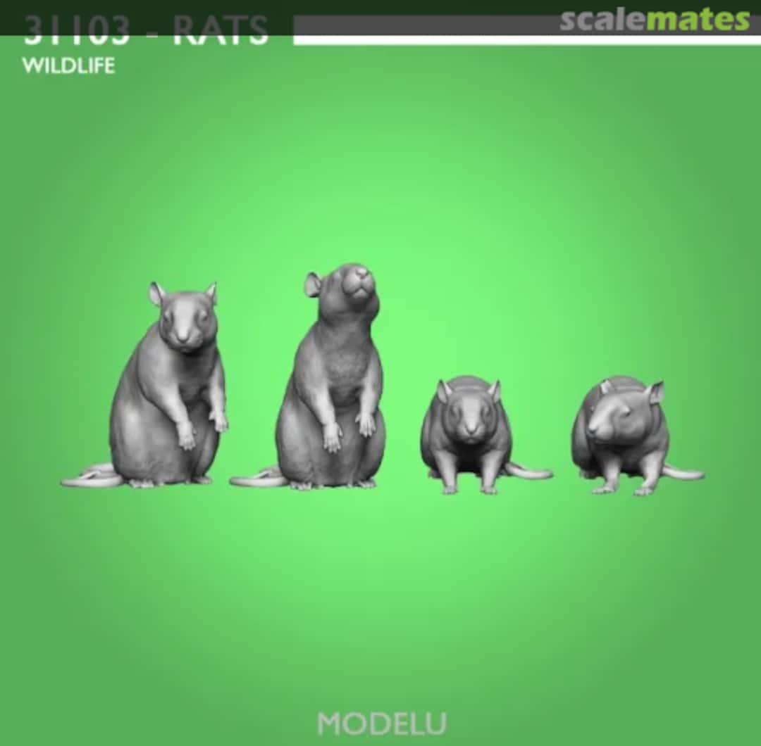 Boxart Rats (x6) 31103-048 Modelu Boxart Rats (x6) 31103-048 Modelu