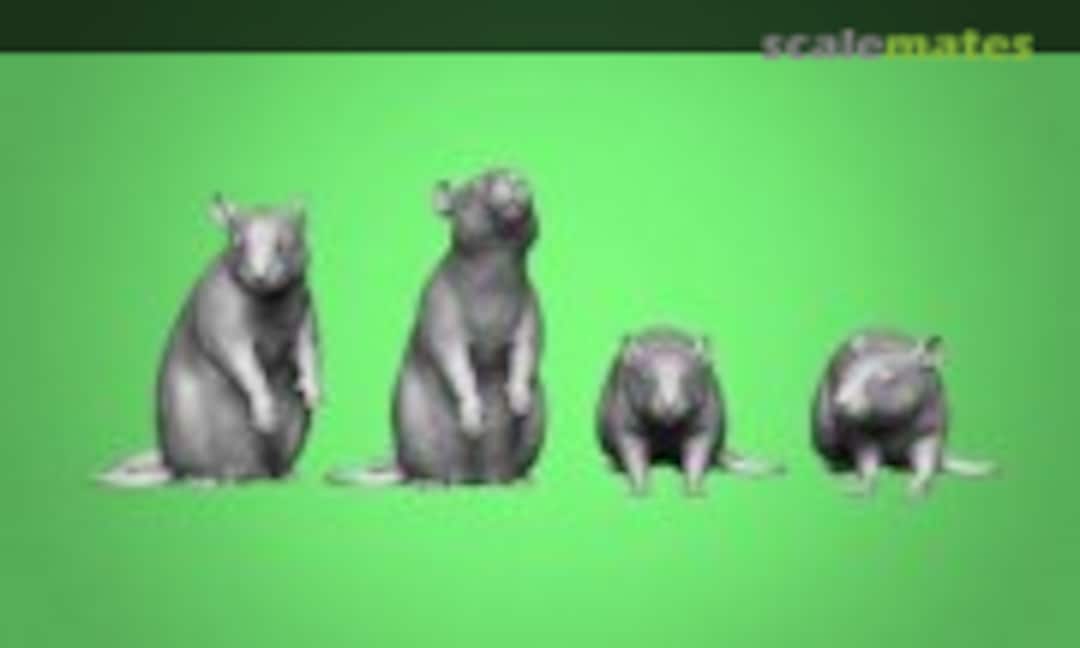 1:48 Rats (x6) (Modelu 31103-048) 31103-048