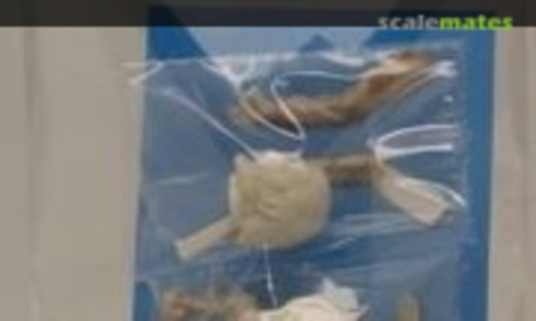 1:20 Driver figure (E.Jan EJP834) EJP834