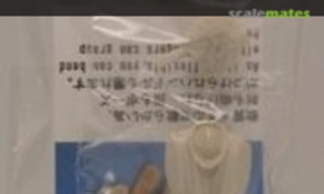 1:20 Driver figure (E.Jan EJP836) EJP836