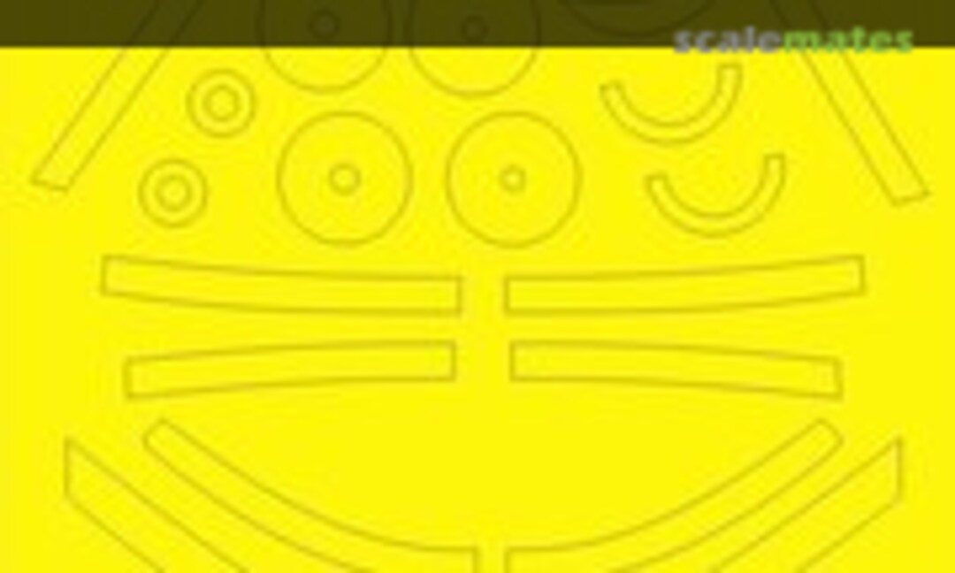 1:48 Strikemaster / Jet Provost T5 Masks (New Ware NWAM003) NWAM003