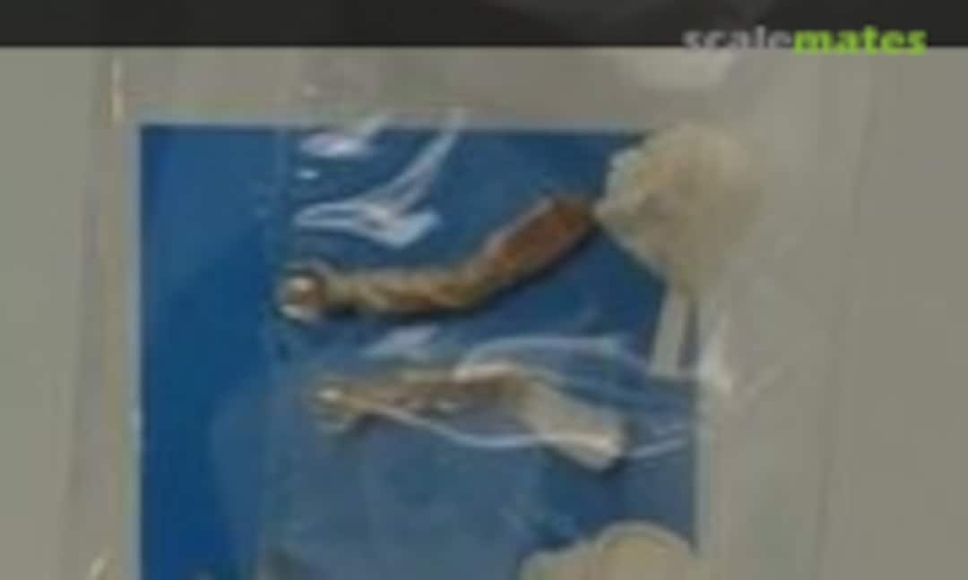 1:20 Driver figure (E.Jan EJP837) EJP837