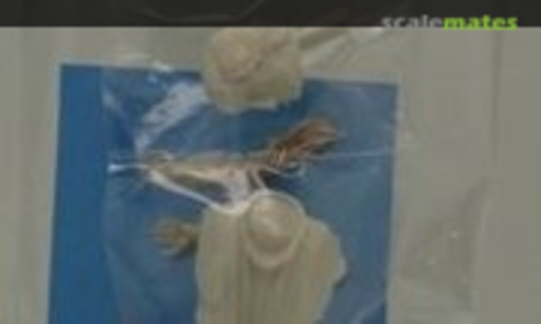 1:20 Driver figure (E.Jan EJP838) EJP838