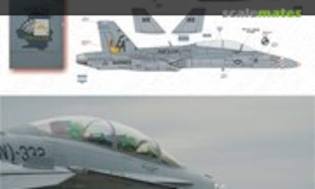 1:48 F/A-18D VMFA-332 Moonset (TwoBobs Aviation Graphics 48-144)
