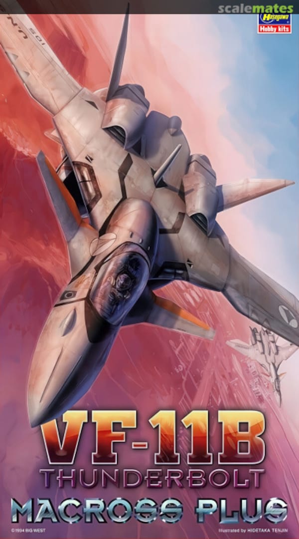 Boxart VF-11B Thunderbolt 65722 Hasegawa