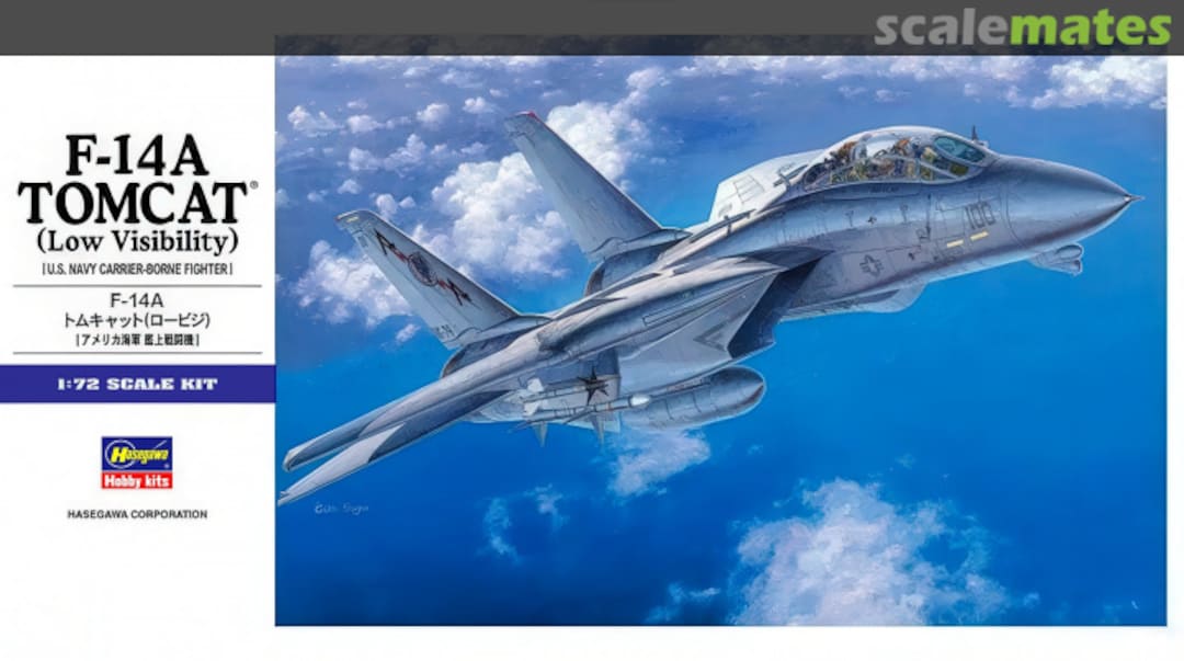 Boxart F-14A Tomcat (Low Visibility) 00532 Hasegawa Boxart F-14A Tomcat (Low Visibility) 00532 Hasegawa
