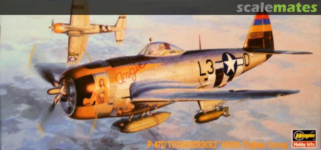 Boxart P-47D Thunderbolt '406th Fighter Group' 02569 Hasegawa Boxart P-47D Thunderbolt '406th Fighter Group' 02569 Hasegawa