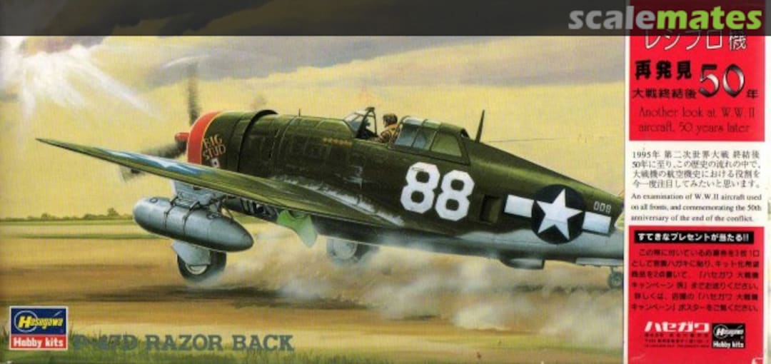 Boxart P-47D Razor Back 02507 Hasegawa