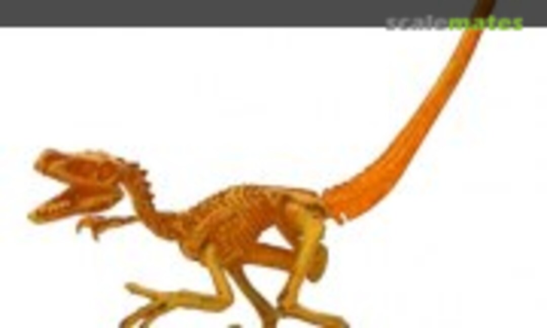 Velociraptor Full Skeleton (Kaiyodo )