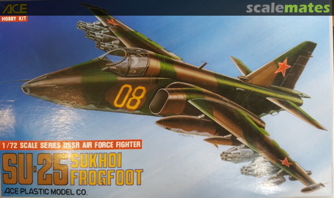 Boxart Sukhoi Su-25 Frogfoot 1039 ACE Hobby Kit Boxart Sukhoi Su-25 Frogfoot 1039 ACE Hobby Kit