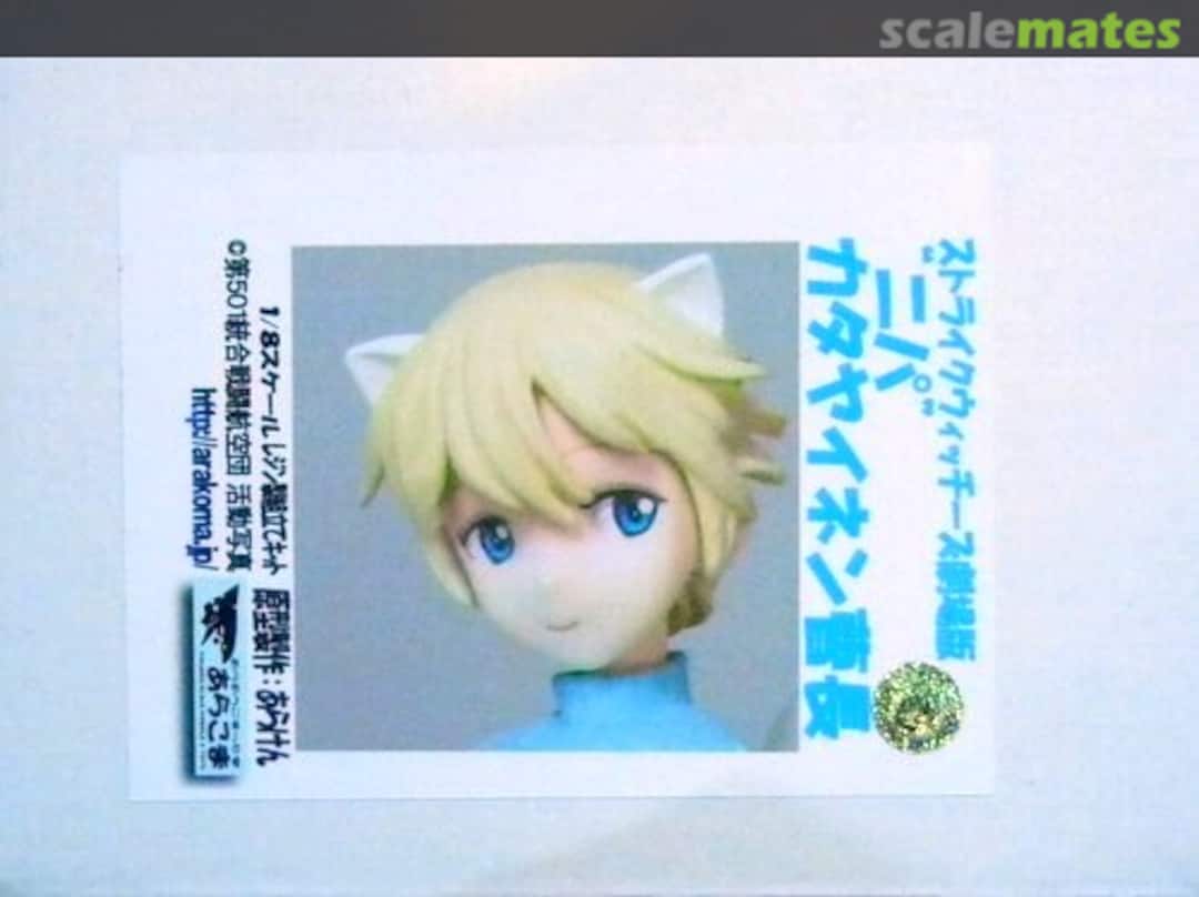 Boxart Nipa Katajainen Arakoma Boxart Nipa Katajainen Arakoma