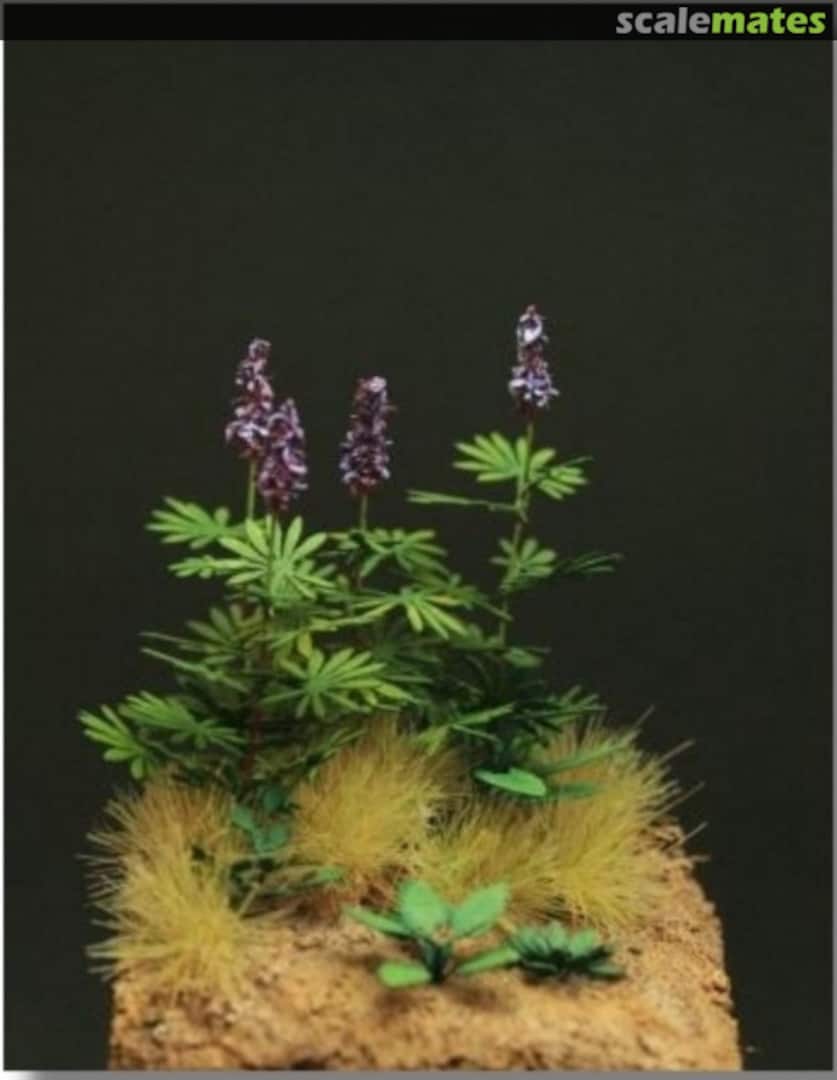 Boxart Lupin and dock leaves <Chamoise> GL-099-CHA Fredericus-Rex Boxart Lupin and dock leaves <Chamoise> GL-099-CHA Fredericus-Rex