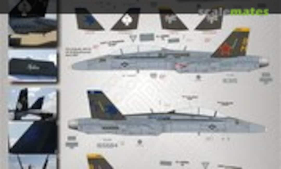 1:48 F/A-18B/D Black Beauties (TwoBobs Aviation Graphics 48-163) 48-163
