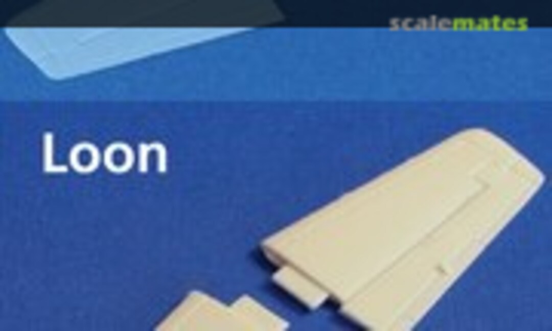 1:72 Rescribed North-American P-51D Mustang tailplanes (Loon Models LO72217) LO72217