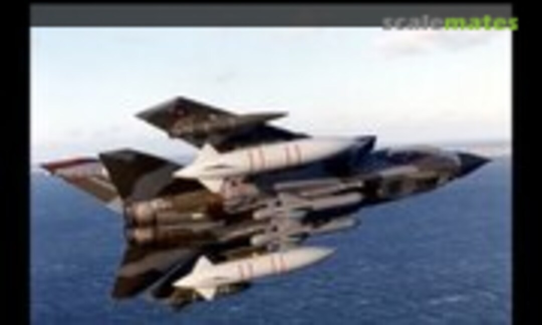 1:72 BAe Sea Eagle Missiles (Air-Graphics Models AIR.AC-118) AIR.AC-118