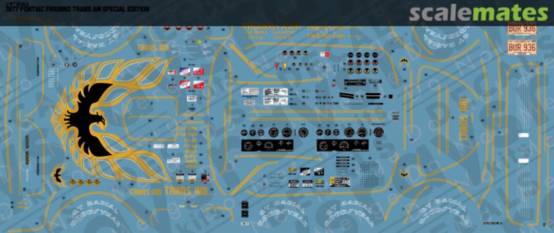 Boxart 1977 Pontiac Firebird Trans Am Special Edition RKD246-1/8 Rays Kits Decals Boxart 1977 Pontiac Firebird Trans Am Special Edition RKD246-1/8 Rays Kits Decals