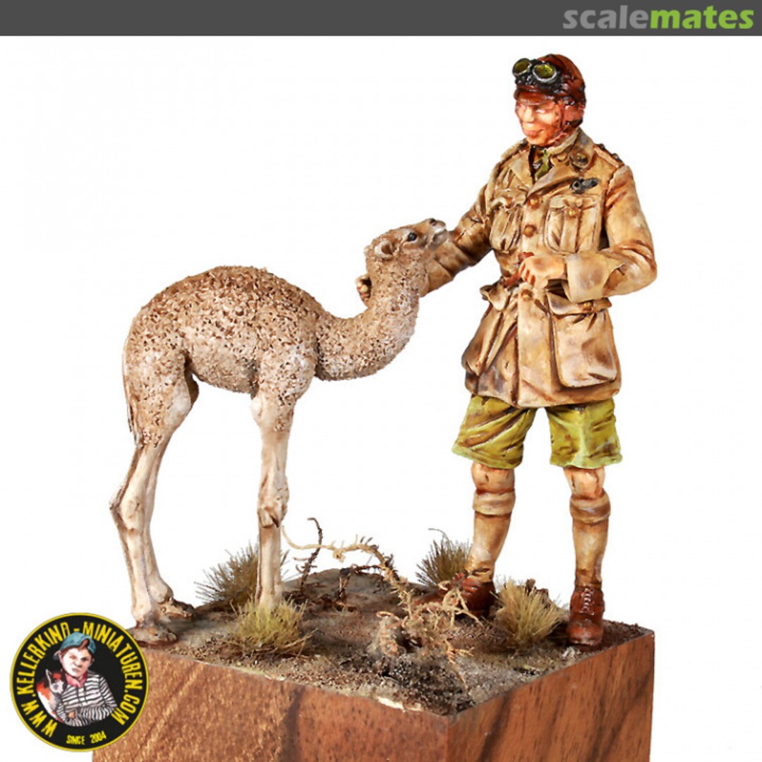 Boxart RFC observer with dromedar baby 54106 Kellerkind Miniaturen Boxart RFC observer with dromedar baby 54106 Kellerkind Miniaturen