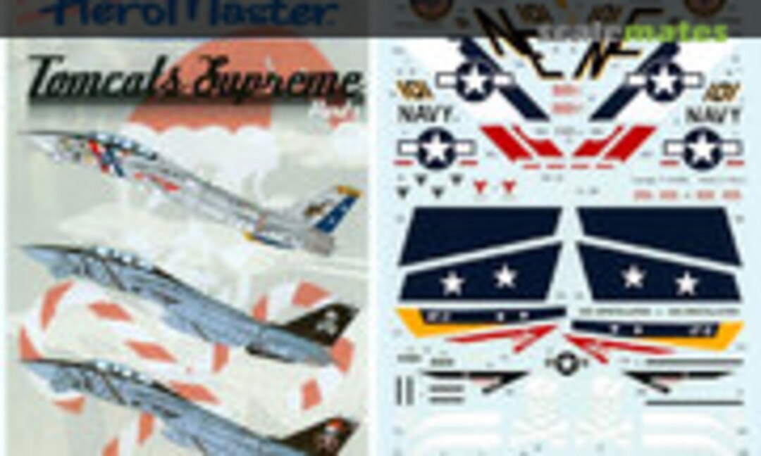 1:48 Tomcats Supreme (AeroMaster 48-792) 48-792