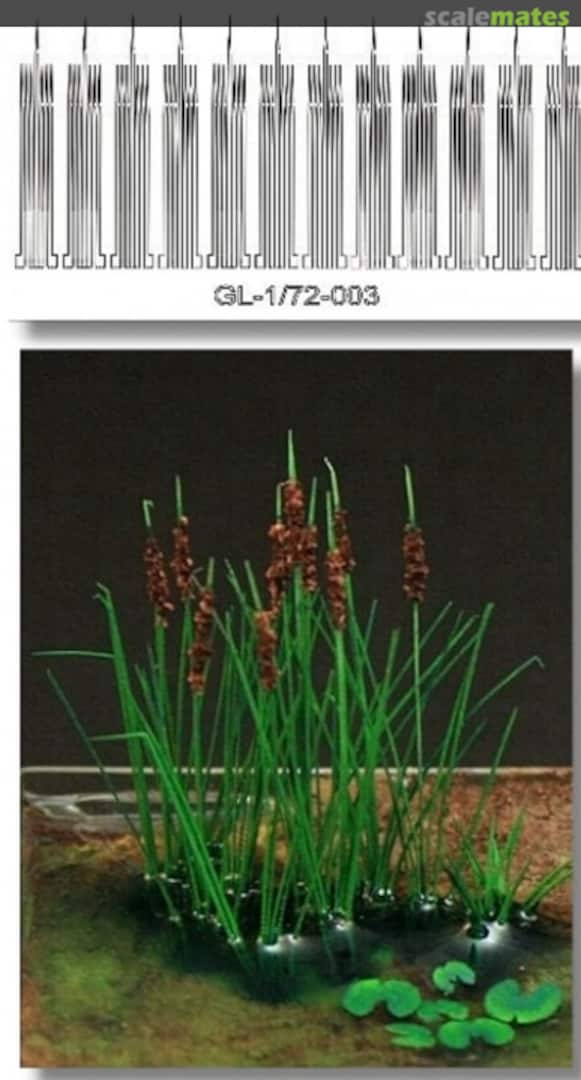 Boxart Bulrush <Chamoise> GL-1-72-003-CHA Fredericus-Rex Boxart Bulrush <Chamoise> GL-1-72-003-CHA Fredericus-Rex