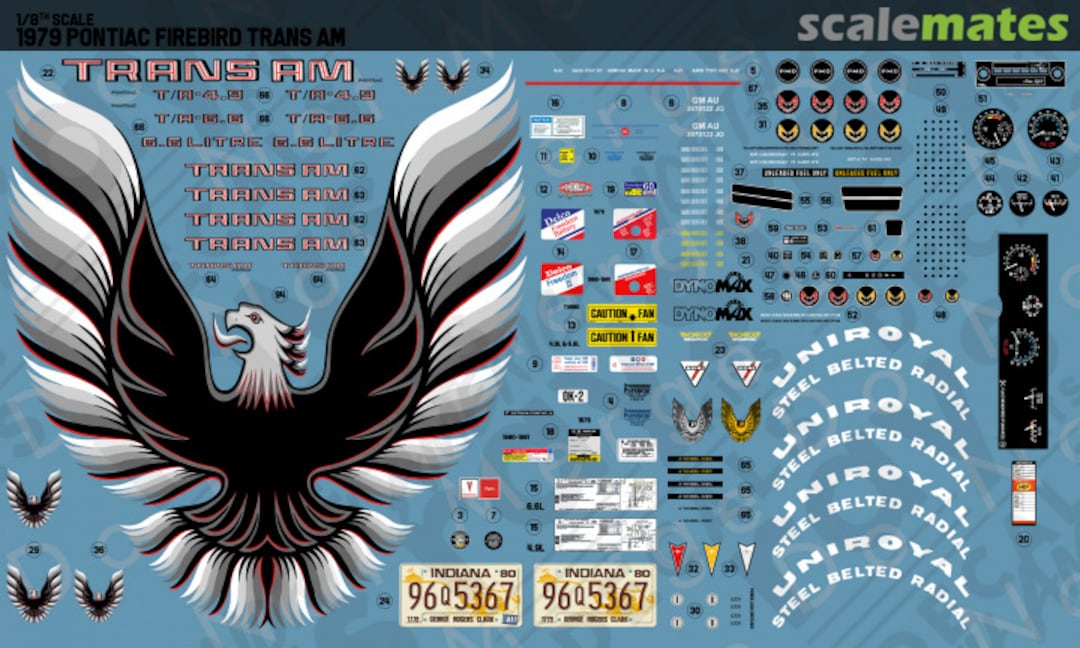 Boxart 1979 Pontiac Firebird Trans Am RKD608-1/8 Rays Kits Decals