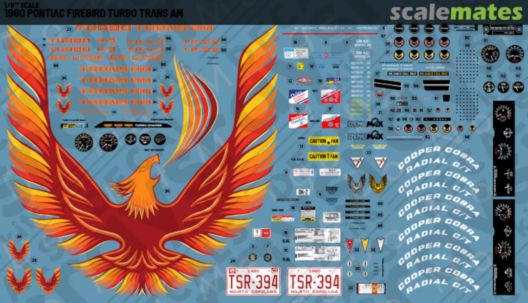 Boxart 1980 Pontiac Firebird Turbo Trans Am RKD607-1/8 Rays Kits Decals Boxart 1980 Pontiac Firebird Turbo Trans Am RKD607-1/8 Rays Kits Decals