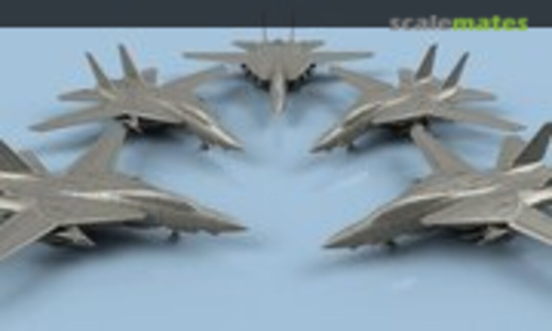 1:700 Grumman F-14 A Tomcat unfolded wings (5 planes) (L'Arsenal 3D700080)