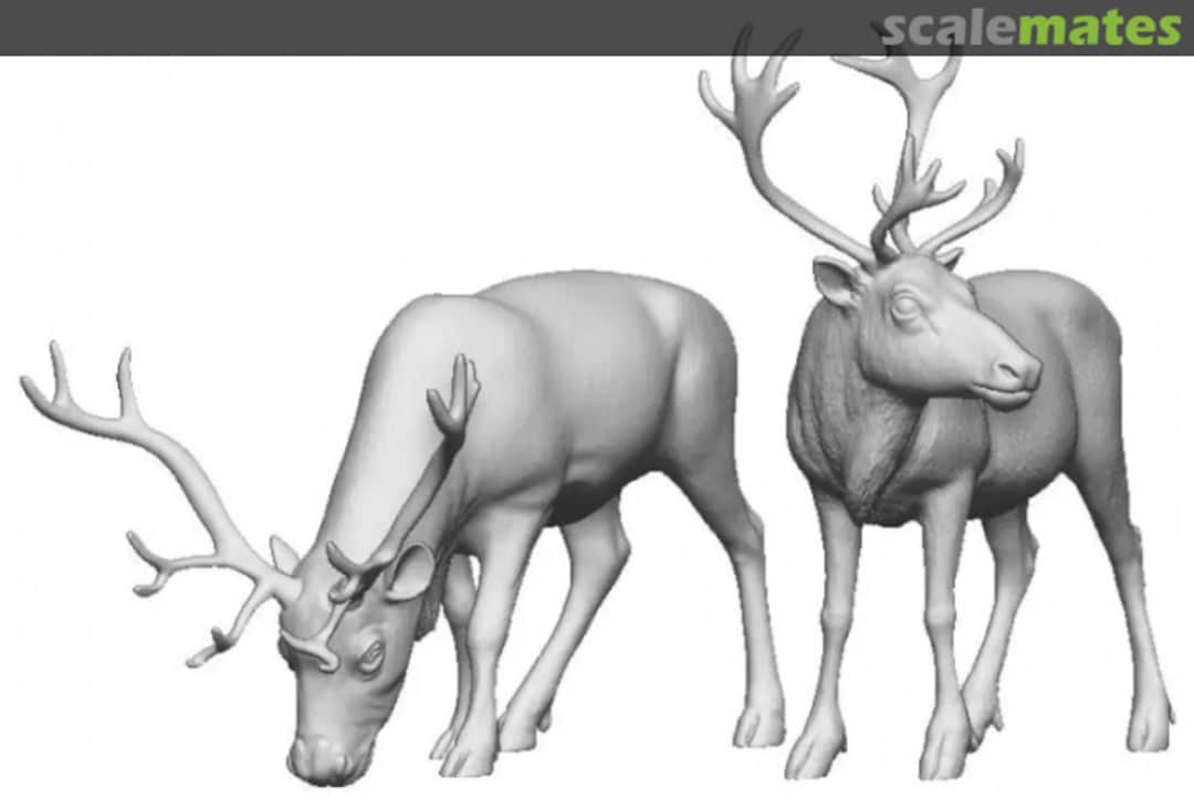 Boxart Reindeer 31104-032 Modelu