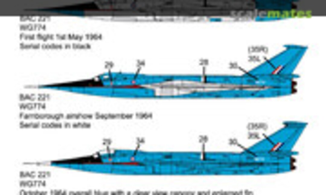 1:144 British Aircraft Corporation 221 (BAC221) (144th.co.uk 144021) 144021