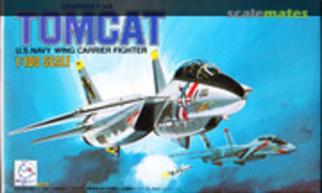 1:100 Grumman F-14A Tomcat (Sunny 1)