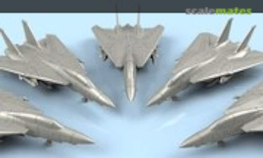 1:700 Grumman F-14 D Tomcat parking folded wings (5 planes) (L'Arsenal 3D700083)