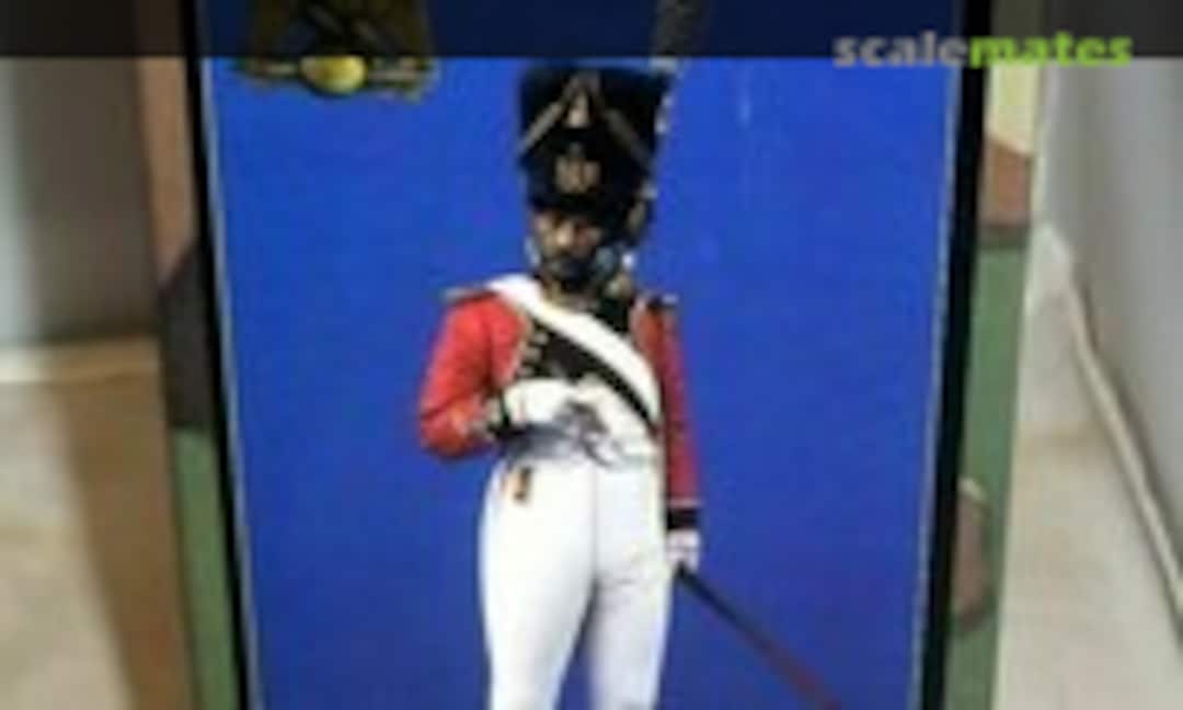 1:16 Grendr Officer Swiss Regt (Verlinden Productions 1246) 1246