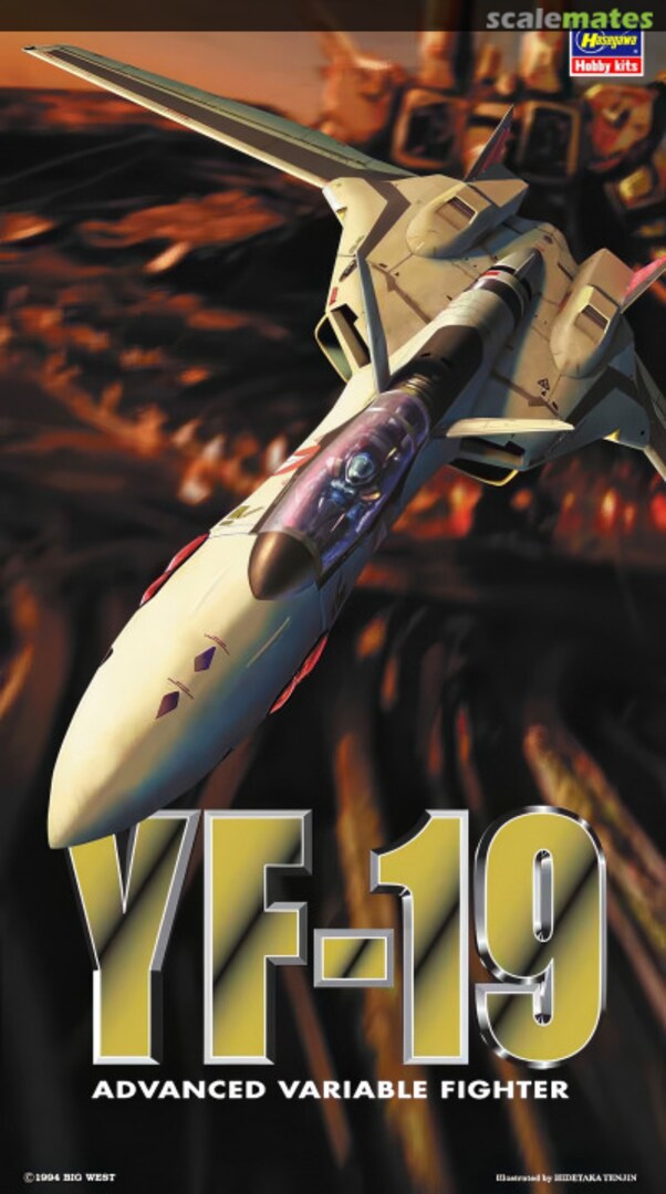 Boxart YF-19 65709 Hasegawa Boxart YF-19 65709 Hasegawa