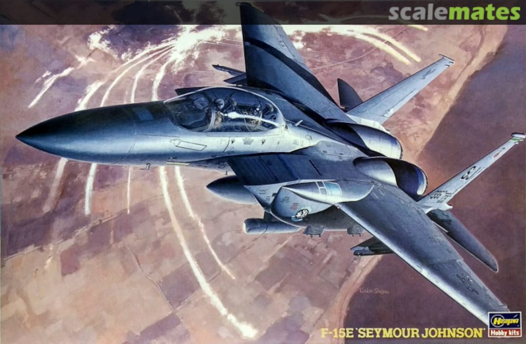 Boxart F-15E `Seymour Johnson´ 04201 Hasegawa Boxart F-15E `Seymour Johnson´ 04201 Hasegawa